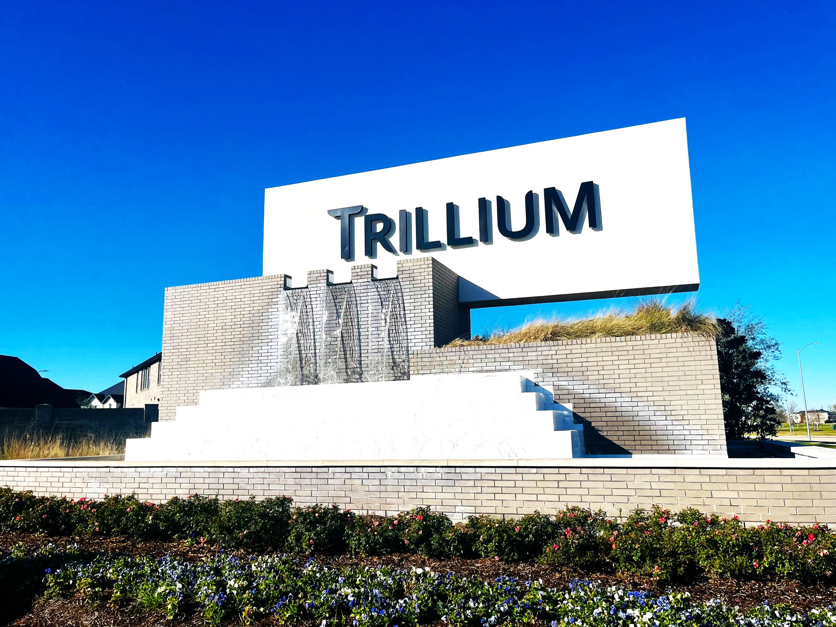 Trillium Community Association